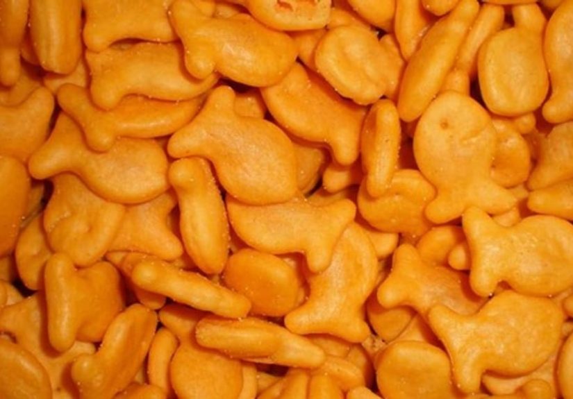 Best Goldfish Flavor