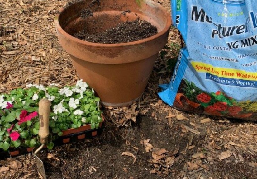How to Add a Touch of Creativity to Your Yard With a Spilled Planter DIY