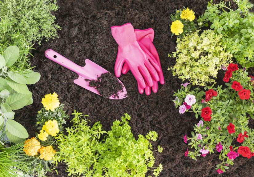 The Best Flowers and Plants to Put in the Ground This September for a Lush Garden Next Spring