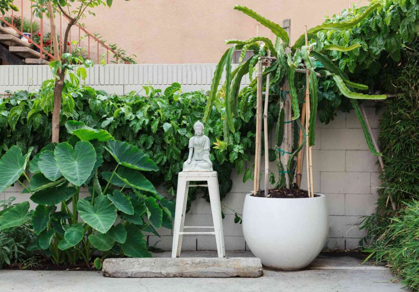 24 Easy DIY Trellis Ideas for Your Garden