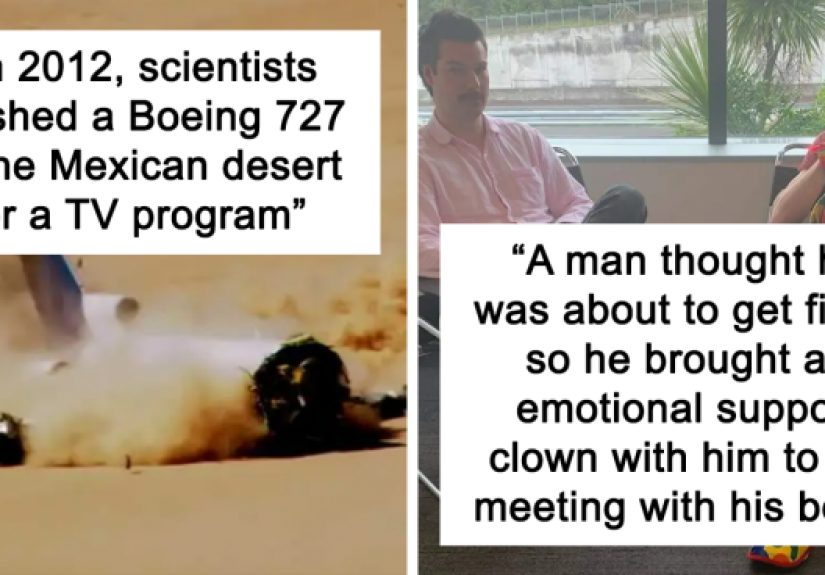 35 Random Facts Shared On This Instagram Account To Make You Question Everything