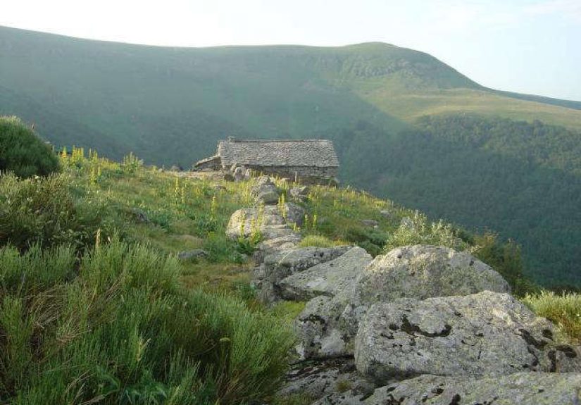 A Bucolic Shepherd's Hut in France