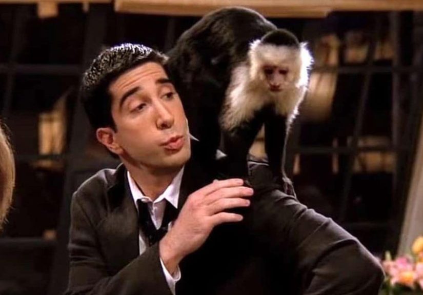 Actors Talk About Their Animal Costars