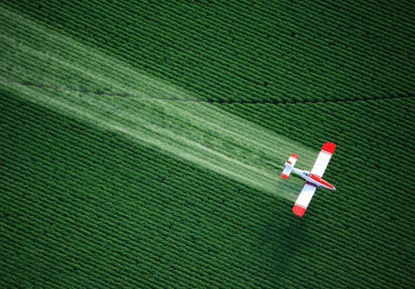 Are Pesticides in Foods Harming Your Health?
