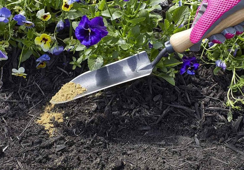 Bone Meal for Plants: Common Questions & Tips