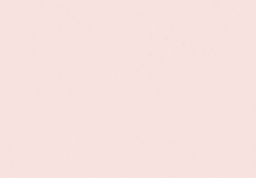 Calamine Pink No. 230 Paint