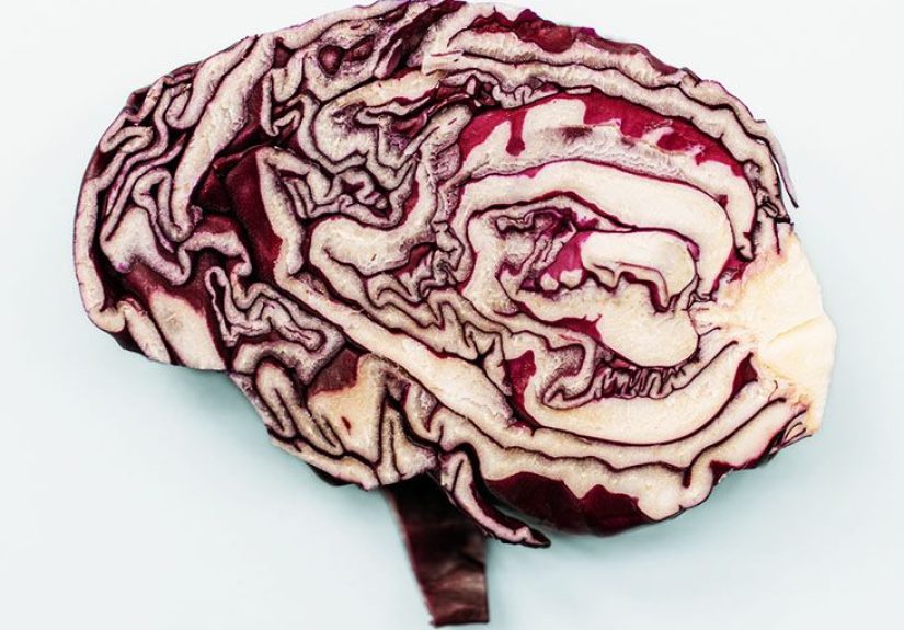 From heart to brain: Early CVD tied to cognitive issues later in life