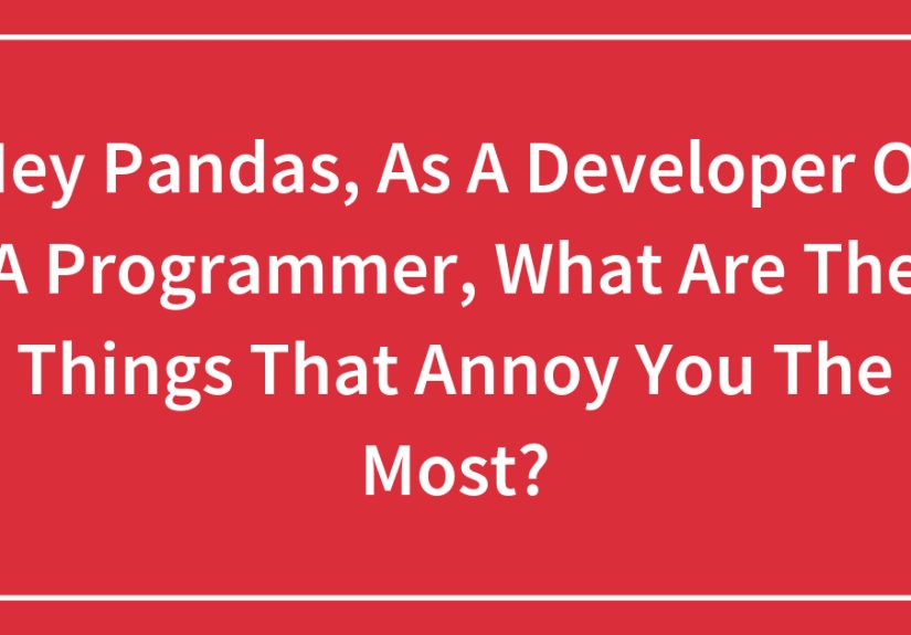 Hey Pandas, As A Developer Or A Programmer, What Are The Things That Annoy You The Most?