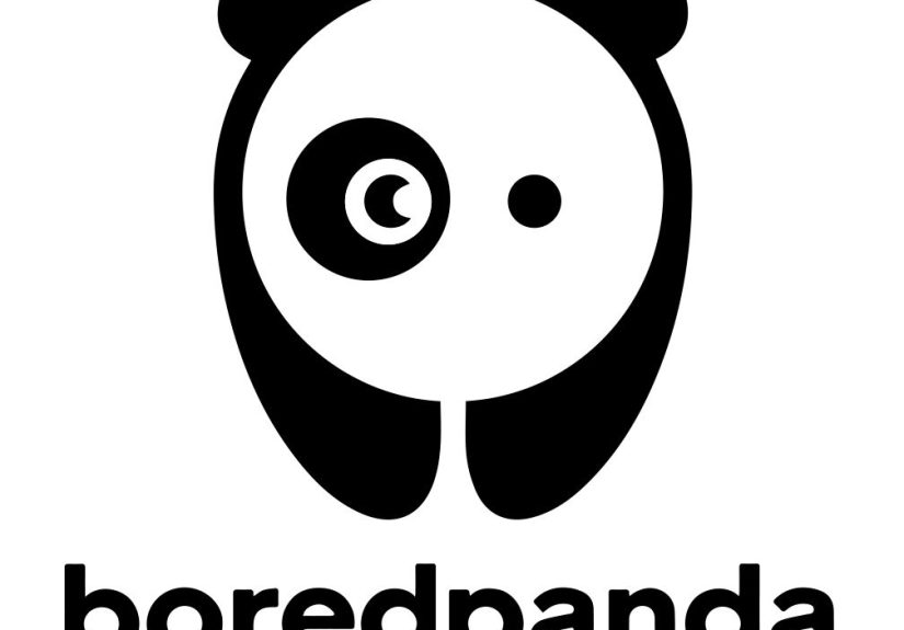 Hey Pandas, Write Something In Code And We’ll See If The Other Pandas Can Decode It!