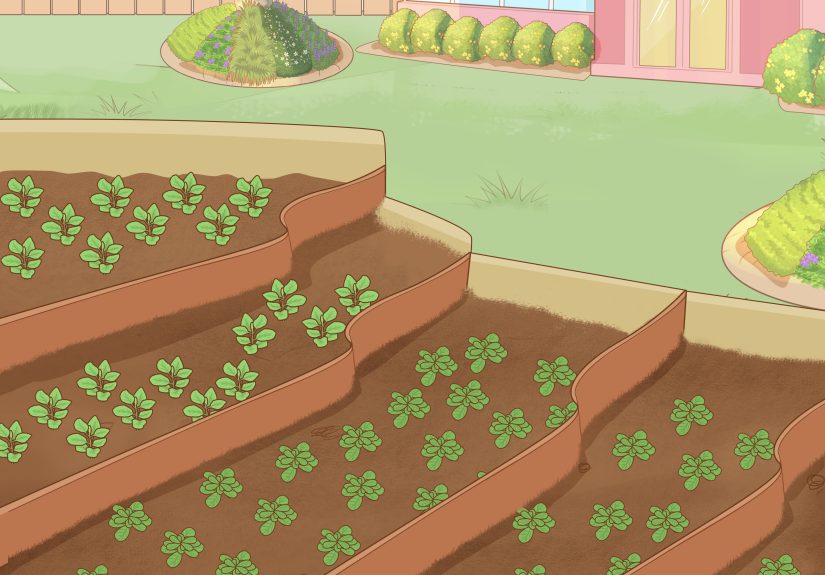 How to Prevent Soil Erosion: 15 Steps