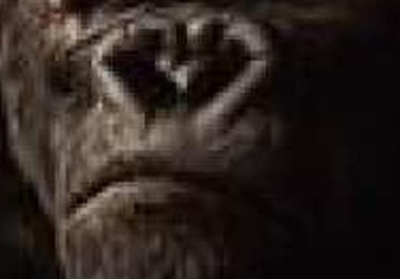 King Kong Cast List: Actors and Actresses from King Kong