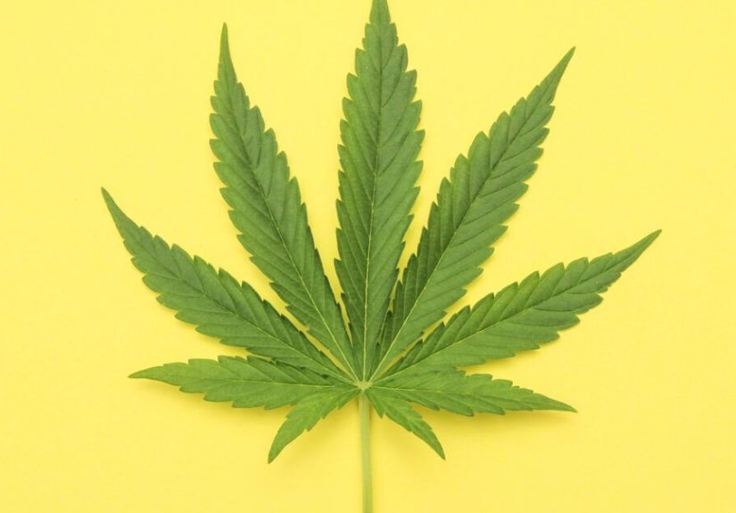 Multiple Sclerosis: What Happened When I Tried Medical Marijuana