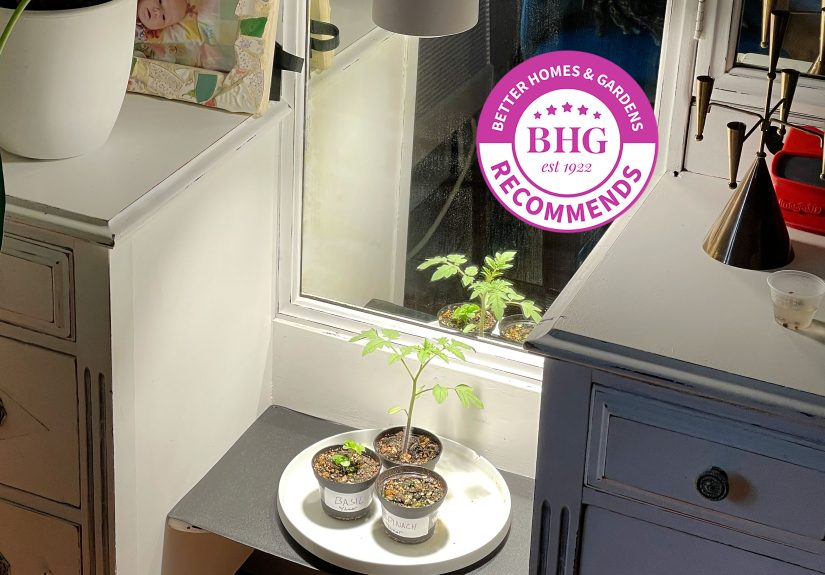 The 11 Best Grow Lights, Tested by BHG