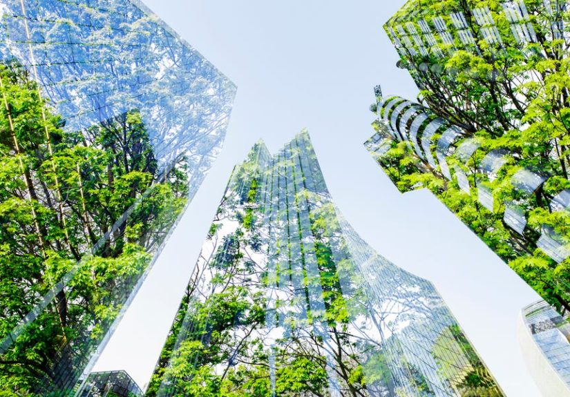 The Future of Cities: Baubotanik Living Trees Architechture