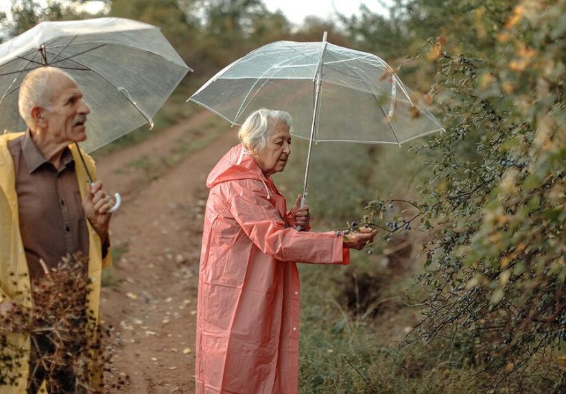 Understand the “Dementia Umbrella” and What Falls Under It