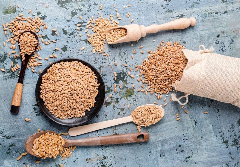 Wheat 101: Nutrition Facts and Health Effects