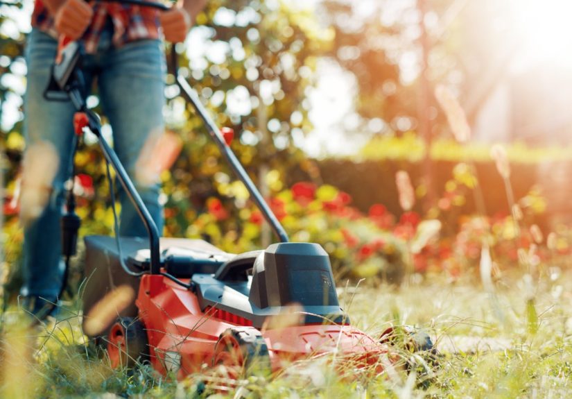 Why You May Not Want to Mow the Lawn This Weekend