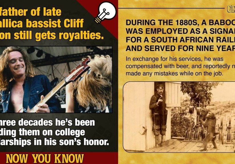36 Random Bits of Trivia to Help Take the Edge Off