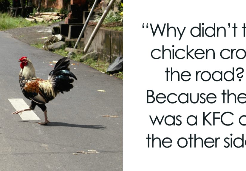 45 ‘Why Did The Chicken Cross The Road’ Jokes That Had Us Clucking With Delight