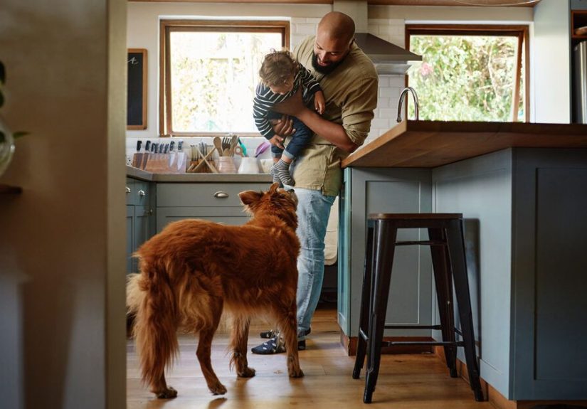 Are You a Single Dad? You're Not Alone