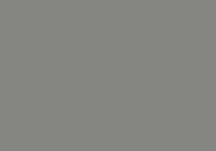 Benjamin Moore Street Chic CSP-45 Paint