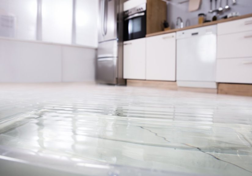 Dishwasher Leaking? 5 Parts That Might Be in Need of Repair - Bob Vila