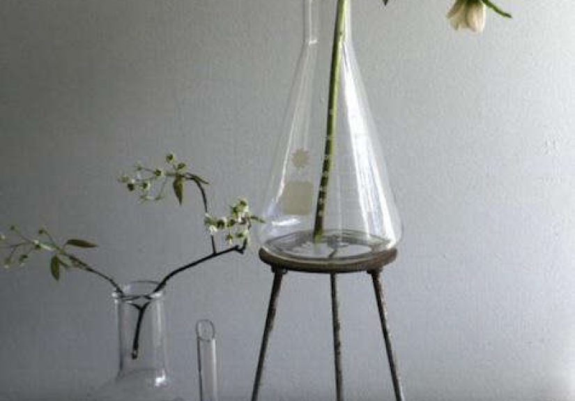 Erlenmeyer Flask