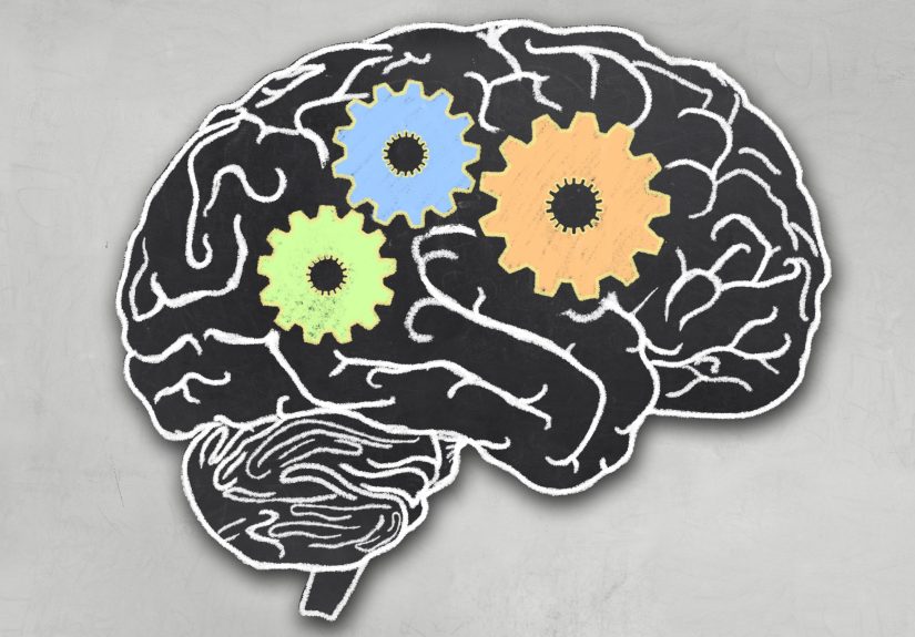 Helping Students Develop Executive Function Skills