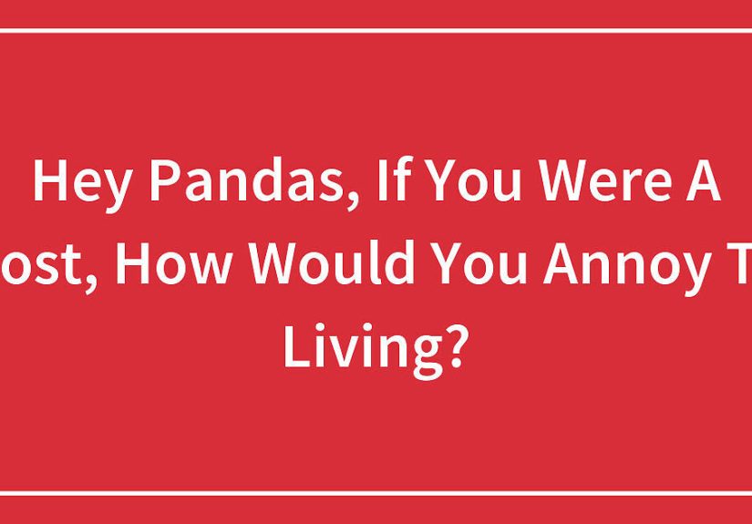Hey Pandas, If You Were A Ghost, How Would You Annoy The Living?