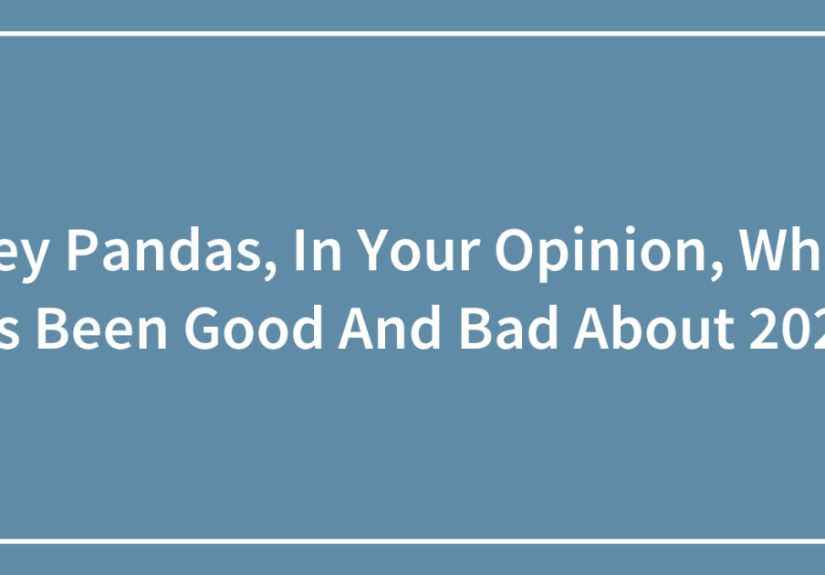 Hey Pandas, In Your Opinion, What Has Been Good And Bad About 2020? (Closed)