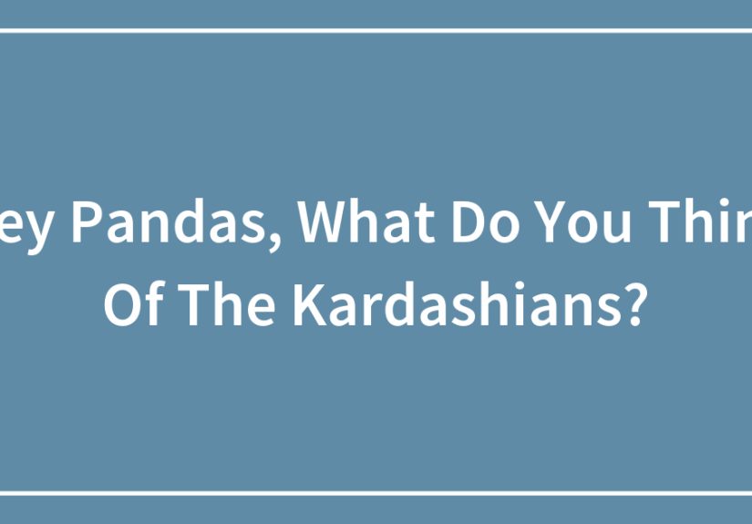 Hey Pandas, What Do You Think Of The Kardashians?