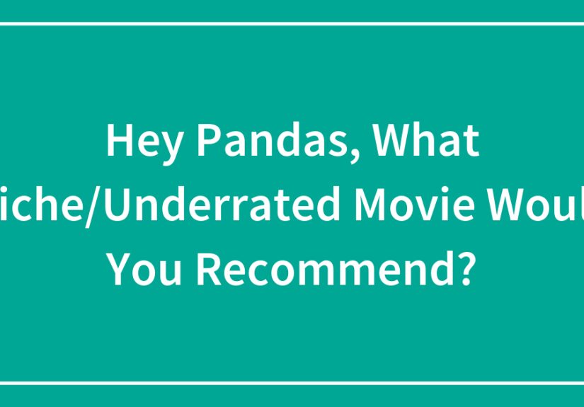Hey Pandas, What Niche/Underrated Movie Would You Recommend?