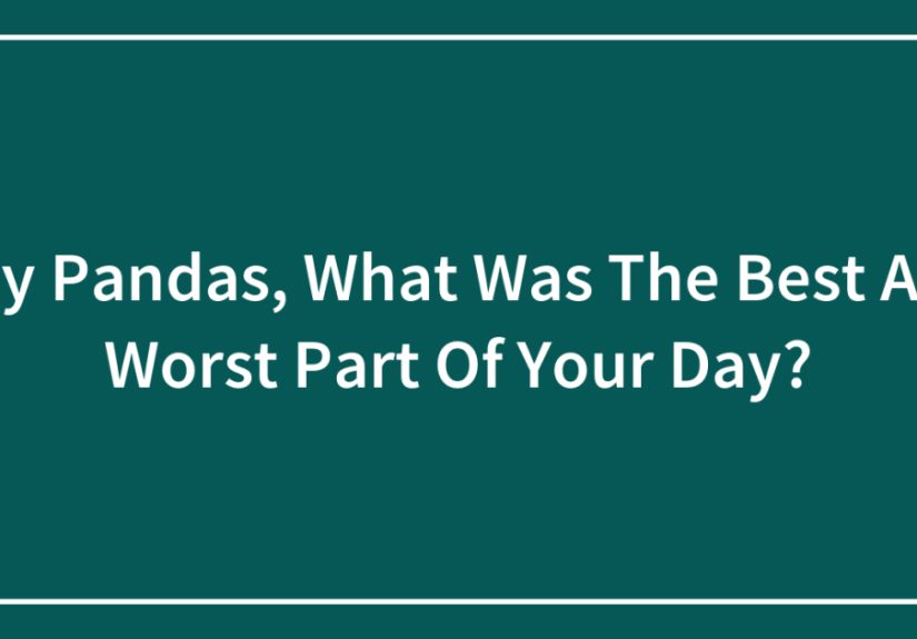 Hey Pandas, What Was The Best And Worst Part Of Your Day?