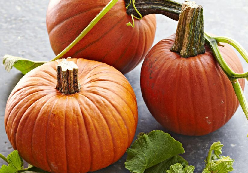 How and When to Harvest Pumpkins from Your Garden