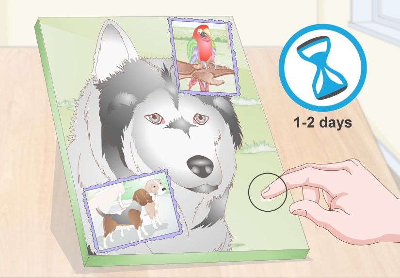 How to Adhere Paper to Canvas