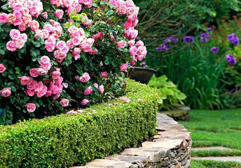 How to Make a Stepping-Stone Path
