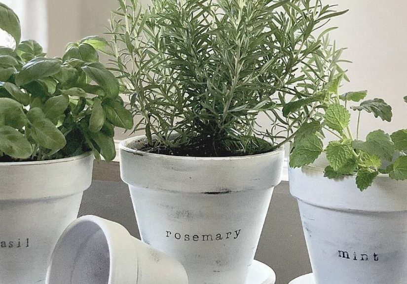 How to Make DIY Chalk Painted Herb Planters