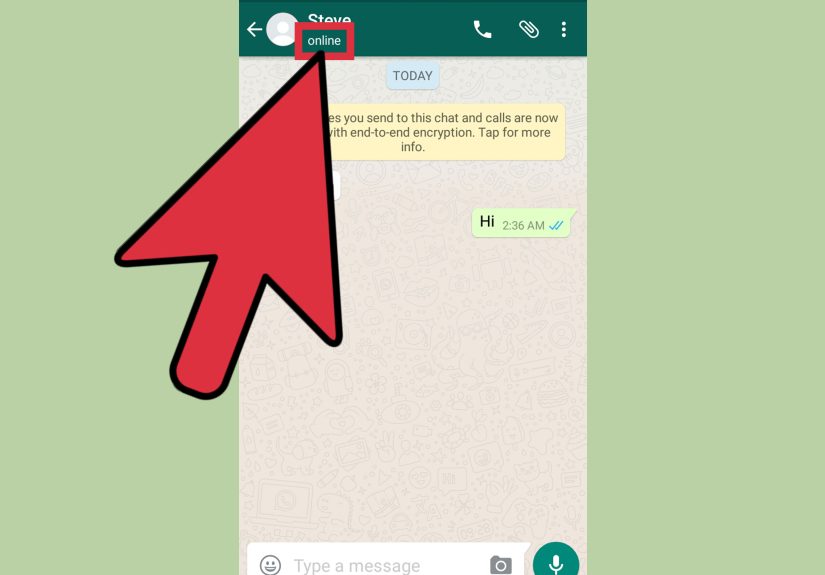 How to Tell if Someone Is Online on WhatsApp: 4 Steps