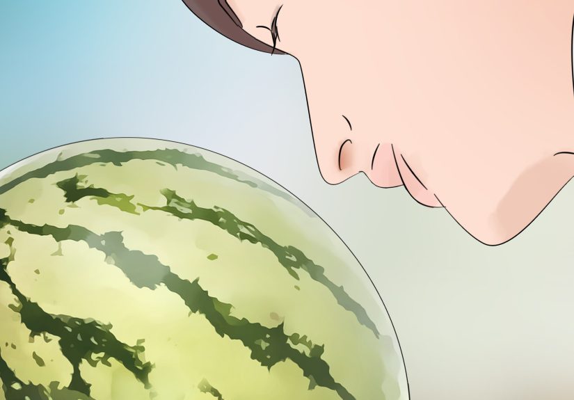 How to Tell when a Watermelon Is Ripe and Ready for Picking