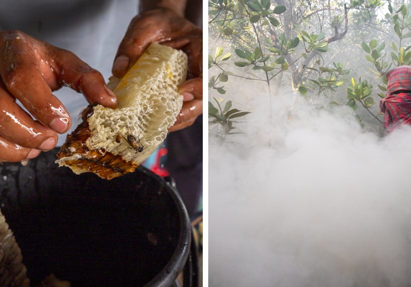 I Collected Honey In The Tiger Territory, And Documented The Dangerous Work Of Honey Collectors In Bangladesh’s Mangrove Forests