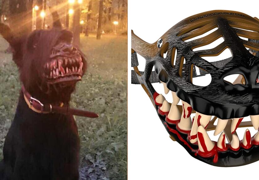 People Are Sharing What Their Dogs Look Like With This Scary Dog Muzzle From Amazon