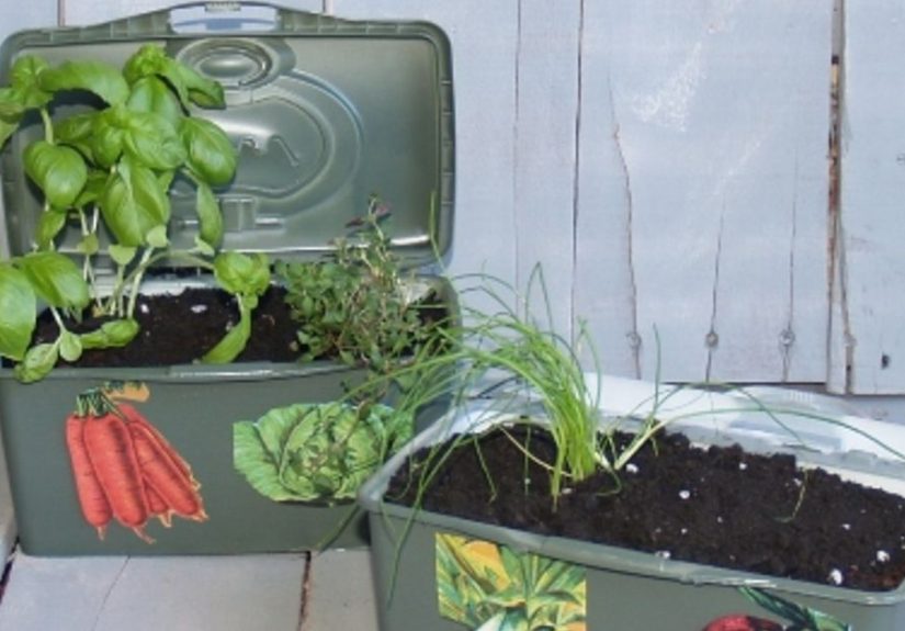 Portable Plastic Planter