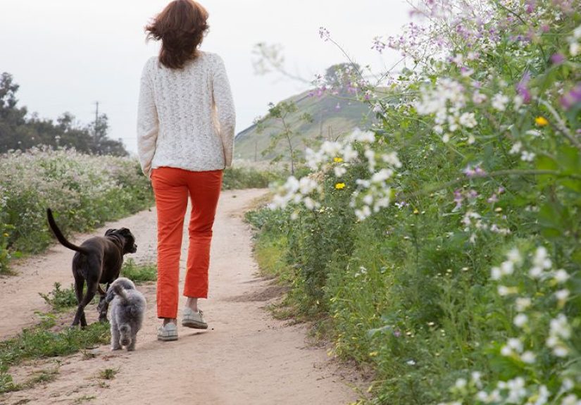 Postmenopausal osteoporosis: About, medication, symptoms, and more