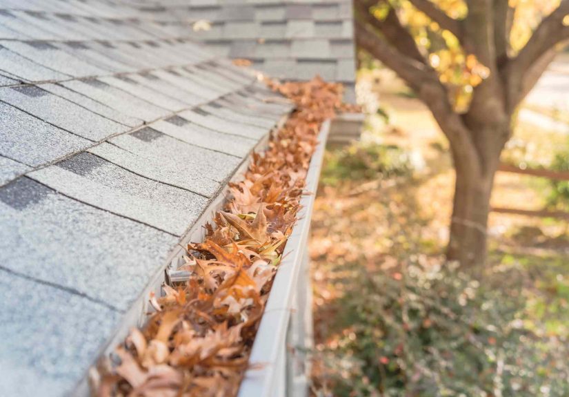 Should You Clean Gutters in Fall or Wait Until Spring? Maintenance Pros Weigh In
