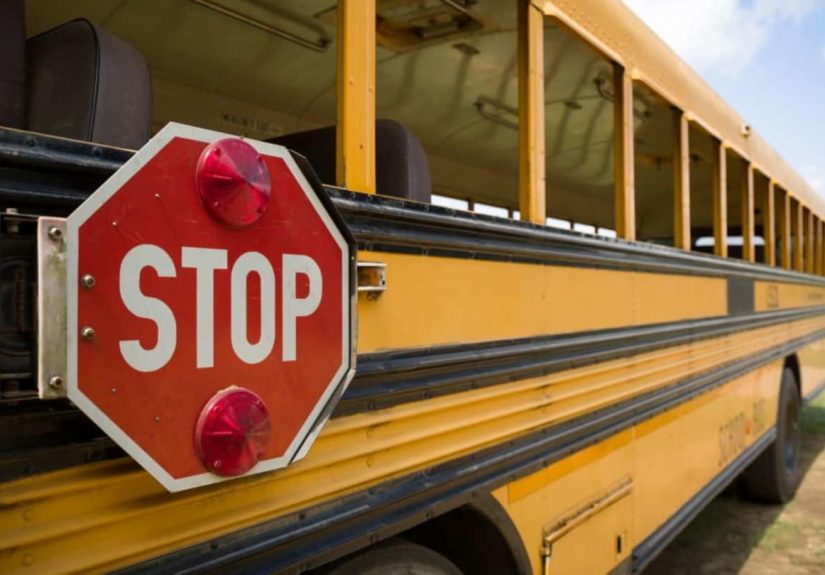 The Clever Reason Behind Those Black Lines on the Sides of School Buses