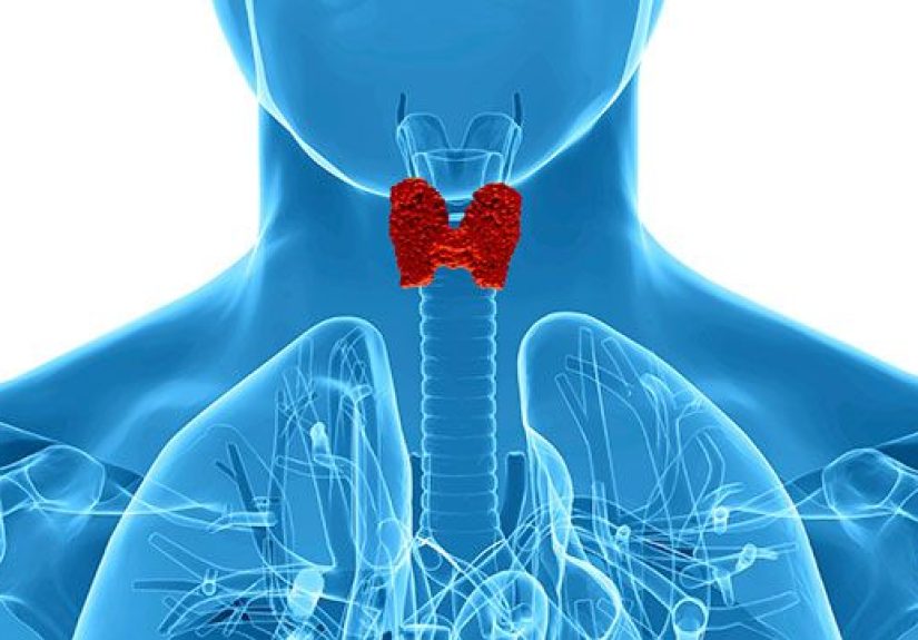 Thyroid Function Tests: Procedure, Side Effects, and Results