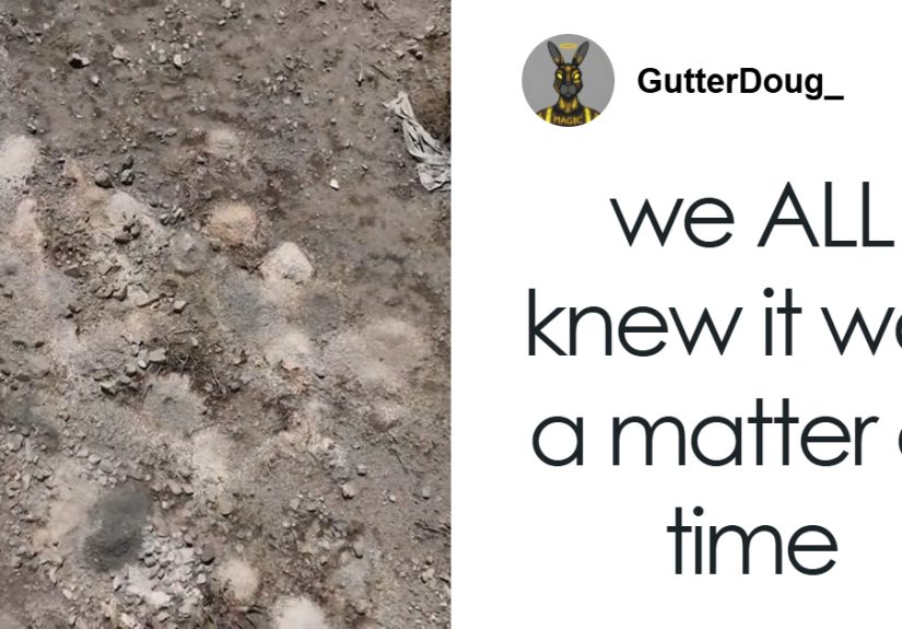 Urgent Investigation Launched After Hundreds Of Piles Of Human Remains Discovered In Las Vegas Desert