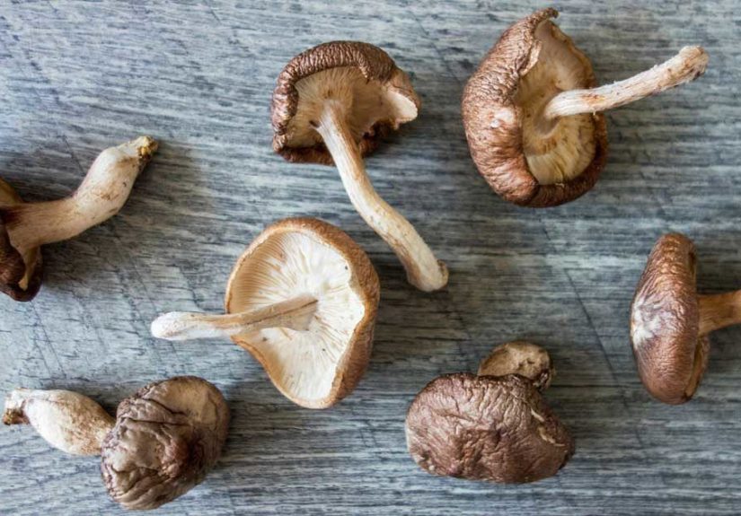 Why Shiitake Mushrooms Are Good For You