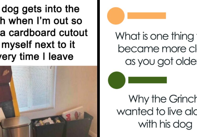 &ldquo;Worry About Yourself Babygurl&rdquo;: 38 Hilarious, Random Memes To Brighten A Gloomy Day