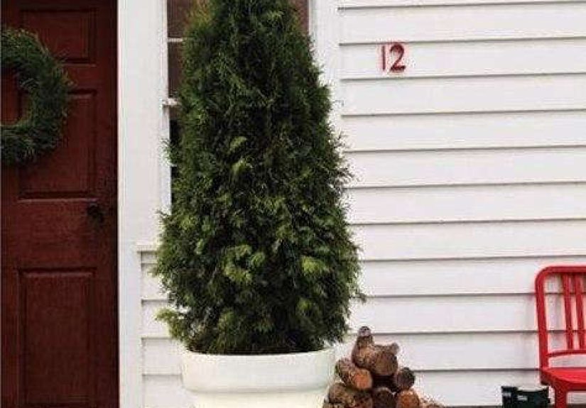 Accessories: Neutra House Numbers in Red